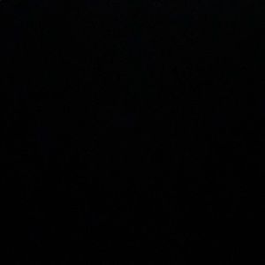 Meet your Posher, Oscar